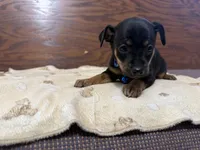 processed/cf675c1d-0e33-45b9-a3cb-c2061903eb96/listing/3c44b630-31f5-46e9-b9d3-7803ad2d6518/504a7759-964b-48c9-a5a9-87fe777c93a9