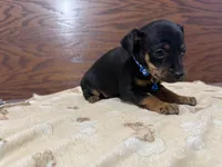 processed/cf675c1d-0e33-45b9-a3cb-c2061903eb96/listing/3c44b630-31f5-46e9-b9d3-7803ad2d6518/84daf88a-473e-4637-b6fc-867839f4e372