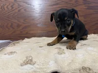 processed/cf675c1d-0e33-45b9-a3cb-c2061903eb96/listing/3c44b630-31f5-46e9-b9d3-7803ad2d6518/d744d50c-9287-441b-ac3f-b6fd7a047b0d