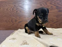 processed/cf675c1d-0e33-45b9-a3cb-c2061903eb96/listing/f32c39fc-5628-4e45-a6f8-4d459c7d7380/893ae13d-cd23-45f2-81bd-b5e660fc5238