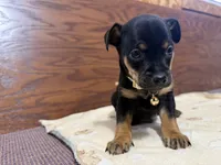 processed/cf675c1d-0e33-45b9-a3cb-c2061903eb96/listing/f32c39fc-5628-4e45-a6f8-4d459c7d7380/a98b9066-f310-4759-9fbf-9771142134cc