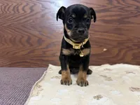 processed/cf675c1d-0e33-45b9-a3cb-c2061903eb96/listing/f32c39fc-5628-4e45-a6f8-4d459c7d7380/e3966155-824a-442a-bed1-39123e475972