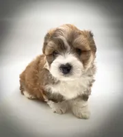 processed/cf75b238-bf96-4b42-8885-912779923887/listing/2cb780e6-8ce5-4be8-931f-5e9fb8ba415f/476b0b2f-6a09-4c44-a6ef-c8bc5f4754d6