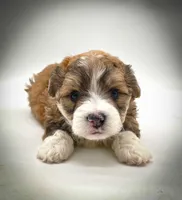 processed/cf75b238-bf96-4b42-8885-912779923887/listing/2cb780e6-8ce5-4be8-931f-5e9fb8ba415f/65d372dc-21cf-4937-afb0-1f0af4af35d8