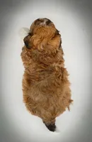 processed/cf75b238-bf96-4b42-8885-912779923887/listing/2cb780e6-8ce5-4be8-931f-5e9fb8ba415f/7f929984-3257-4df8-a4ee-6b67c1a2eee8