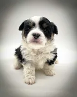 processed/cf75b238-bf96-4b42-8885-912779923887/listing/626903fa-207c-4570-a048-b37b8e1d4725/4cd6f3cf-857a-434d-909a-d0cd950b9d4a