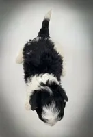 processed/cf75b238-bf96-4b42-8885-912779923887/listing/626903fa-207c-4570-a048-b37b8e1d4725/5fd04681-1c59-487c-a33a-c54ae1d74e38