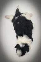 processed/cf75b238-bf96-4b42-8885-912779923887/listing/626903fa-207c-4570-a048-b37b8e1d4725/e90eaf5b-27a5-4a40-bd73-48d707489949