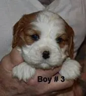 processed/cf760fe7-9f06-430c-bf9b-612948cd3a4c/listing/2a9b1b03-6d11-4ada-832f-b14629c042dd/5ab01689-e23e-4f26-bdc2-1bef5da70dca