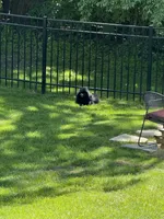 processed/cf790133-2c11-4239-b989-5f2037ee3aa5/facility/1e3ee93b-766a-41d9-81f2-7734b3a08af8