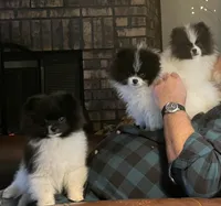 processed/cf790133-2c11-4239-b989-5f2037ee3aa5/facility/1f94d97c-07ce-4c79-993c-50fda8027713