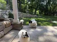 processed/cf790133-2c11-4239-b989-5f2037ee3aa5/facility/6cd65dd1-7def-4188-a6dc-6b1adf7b5ab5