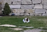 processed/cf790133-2c11-4239-b989-5f2037ee3aa5/facility/87226e02-2eac-47ad-897e-672e5d129755