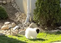 processed/cf790133-2c11-4239-b989-5f2037ee3aa5/facility/9380d401-cf75-4ec6-8da8-7709b73e36cc