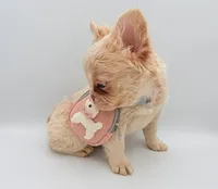 Rapunzel (Full Fluffy Carries Pink and non-shedding), a female French Bulldog for sale in Granger, WA – Photo 2 of 3