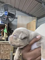 processed/cf7c6ff6-fa35-4b77-b6f0-ee1565ff2724/listing/59026729-50d1-452a-9c7c-9cdb9bbb17ba/349c24ab-b580-4bd7-be1a-add8a6d08fd2