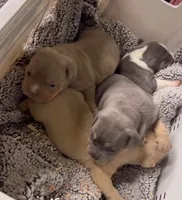 processed/cf7c6ff6-fa35-4b77-b6f0-ee1565ff2724/listing/59026729-50d1-452a-9c7c-9cdb9bbb17ba/4a06c920-6b37-465f-ac57-179f601b2305