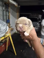 processed/cf7c6ff6-fa35-4b77-b6f0-ee1565ff2724/listing/59026729-50d1-452a-9c7c-9cdb9bbb17ba/554fb490-0d15-4a74-9e7e-faa2045ff788