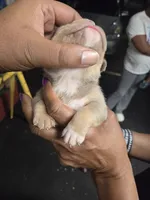 processed/cf7c6ff6-fa35-4b77-b6f0-ee1565ff2724/listing/59026729-50d1-452a-9c7c-9cdb9bbb17ba/e19d1c08-1766-49db-a2fa-e9d7635acd0b