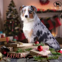 processed/cf7c8475-3320-4959-9a74-f480e6372028/facility/108fbbe0-a216-48ed-aae5-63876bbbba2d