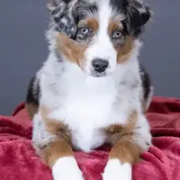 processed/cf7c8475-3320-4959-9a74-f480e6372028/facility/1c731ffe-1f3a-4288-9c86-fc67b0ab44ea