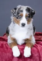 processed/cf7c8475-3320-4959-9a74-f480e6372028/facility/1c731ffe-1f3a-4288-9c86-fc67b0ab44ea