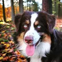 processed/cf7c8475-3320-4959-9a74-f480e6372028/facility/38d1cef0-443d-4587-9734-b89c96c8e697