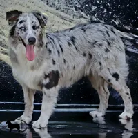 processed/cf7c8475-3320-4959-9a74-f480e6372028/facility/4a1f9b30-99be-4d27-95c1-7ee0ae9dceb7