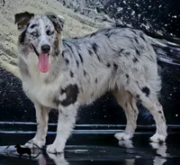 processed/cf7c8475-3320-4959-9a74-f480e6372028/facility/4a1f9b30-99be-4d27-95c1-7ee0ae9dceb7