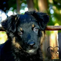 processed/cf7c8475-3320-4959-9a74-f480e6372028/facility/935d0cec-e595-417c-9233-6cde1f9de439