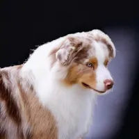 processed/cf7c8475-3320-4959-9a74-f480e6372028/facility/a07d1669-4e5b-40b3-9383-816447a24ad2