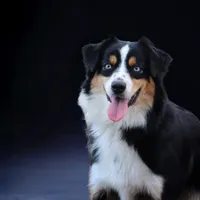 processed/cf7c8475-3320-4959-9a74-f480e6372028/facility/cb0d78e0-c3cd-43d8-9755-604e1b283c2a