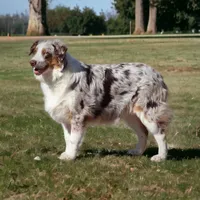 processed/cf7c8475-3320-4959-9a74-f480e6372028/facility/e3c0d550-8538-4e5c-8f98-08c0a24bb4a4