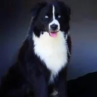 processed/cf7c8475-3320-4959-9a74-f480e6372028/facility/e9efd66e-a42d-41f7-b79e-5cb5a3f731aa