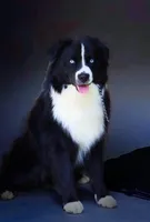 processed/cf7c8475-3320-4959-9a74-f480e6372028/facility/e9efd66e-a42d-41f7-b79e-5cb5a3f731aa