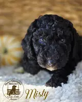 processed/cf7c8475-3320-4959-9a74-f480e6372028/listing/06c89149-e75b-41b1-9b9d-7ac49b49ea4a/200fb8e1-9ec6-466c-807b-71eb566bca49