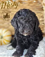 processed/cf7c8475-3320-4959-9a74-f480e6372028/listing/06c89149-e75b-41b1-9b9d-7ac49b49ea4a/5fc3a9ad-e314-4fe2-ba35-c904c1bf9aef