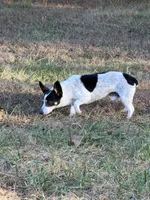 processed/cf861e6c-9b11-4d7b-84f7-5d5f8eb68abc/listing/bed30958-8160-4949-81cd-00dadbd7625a/21b854c9-97b9-4eda-a1d8-7386fa1ac3f4