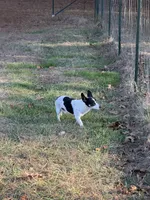 processed/cf861e6c-9b11-4d7b-84f7-5d5f8eb68abc/listing/bed30958-8160-4949-81cd-00dadbd7625a/528c2be5-663c-410f-93c0-3f069fa77a9b