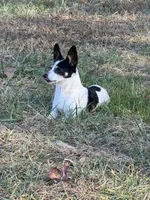 processed/cf861e6c-9b11-4d7b-84f7-5d5f8eb68abc/listing/bed30958-8160-4949-81cd-00dadbd7625a/81fc559f-7c96-4830-b065-89fea1cfbe59