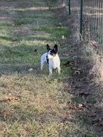 processed/cf861e6c-9b11-4d7b-84f7-5d5f8eb68abc/listing/bed30958-8160-4949-81cd-00dadbd7625a/d0ea9890-098b-45b2-ae2a-ab44211a9d29