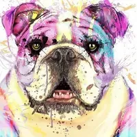 processed/cf88c735-fc06-4c25-98f5-2dd913b23945/facility/1dae4638-6220-40d8-9356-affbf34fffe3