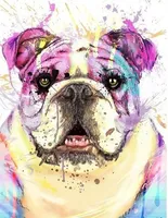 processed/cf88c735-fc06-4c25-98f5-2dd913b23945/facility/1dae4638-6220-40d8-9356-affbf34fffe3