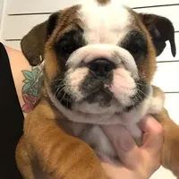 processed/cf88c735-fc06-4c25-98f5-2dd913b23945/facility/42368f54-889b-47e1-8bc9-ce2a61a0de1a