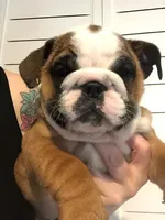 processed/cf88c735-fc06-4c25-98f5-2dd913b23945/facility/42368f54-889b-47e1-8bc9-ce2a61a0de1a