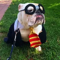 processed/cf88c735-fc06-4c25-98f5-2dd913b23945/facility/899677ce-3145-40cd-a0c6-8936d24b0c12