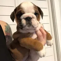 processed/cf88c735-fc06-4c25-98f5-2dd913b23945/facility/9260a722-9363-410a-b937-eb49a23c72d1