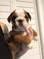 processed/cf88c735-fc06-4c25-98f5-2dd913b23945/facility/9260a722-9363-410a-b937-eb49a23c72d1