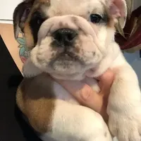 processed/cf88c735-fc06-4c25-98f5-2dd913b23945/facility/9d871ff2-8bb8-4b3d-8825-c83066c8f9f3