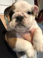 processed/cf88c735-fc06-4c25-98f5-2dd913b23945/facility/9d871ff2-8bb8-4b3d-8825-c83066c8f9f3